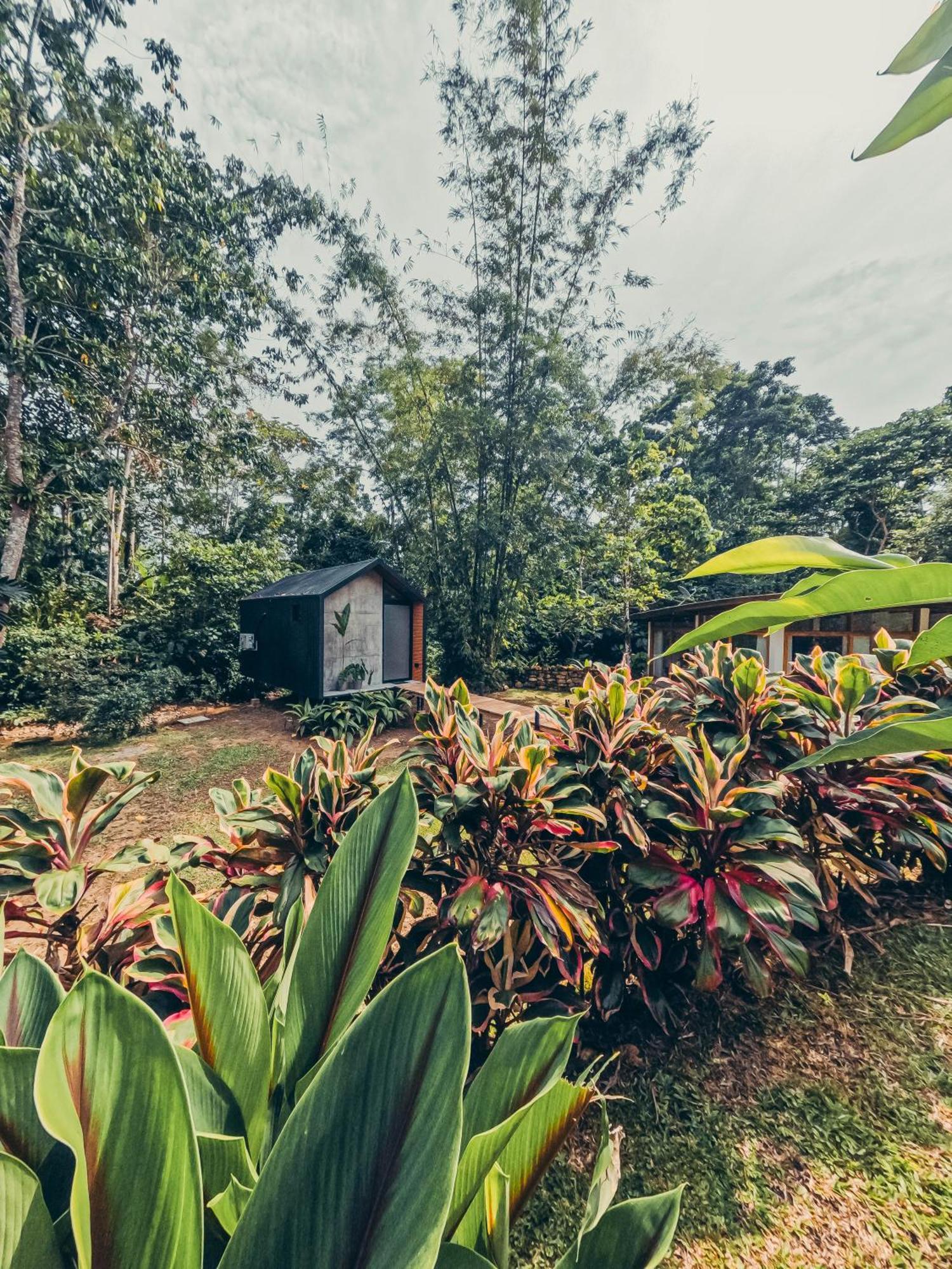 Tagua Lodge Tena Exterior photo